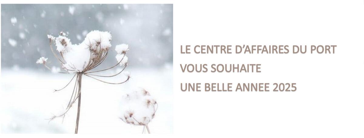 belle & heureuse année 2025 - carte de vœux