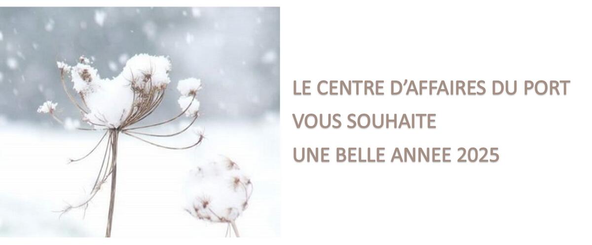 belle & heureuse année 2025 - carte de vœux