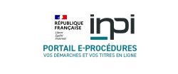 guichet unique des entreprises, portail INPI